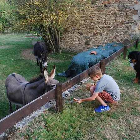 Les Bouis * Saint-Hilaire (Puy-de-Dome)