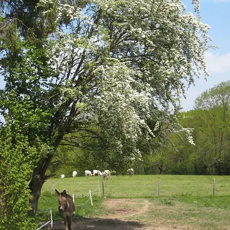 Hébergement de vacances Les Bouis *