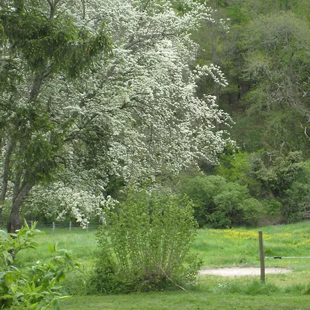 Hébergement de vacances Les Bouis Saint-Hilaire (Puy-de-Dome)