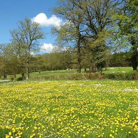 Les Bouis Hébergement de vacances Saint-Hilaire (Puy-de-Dome)