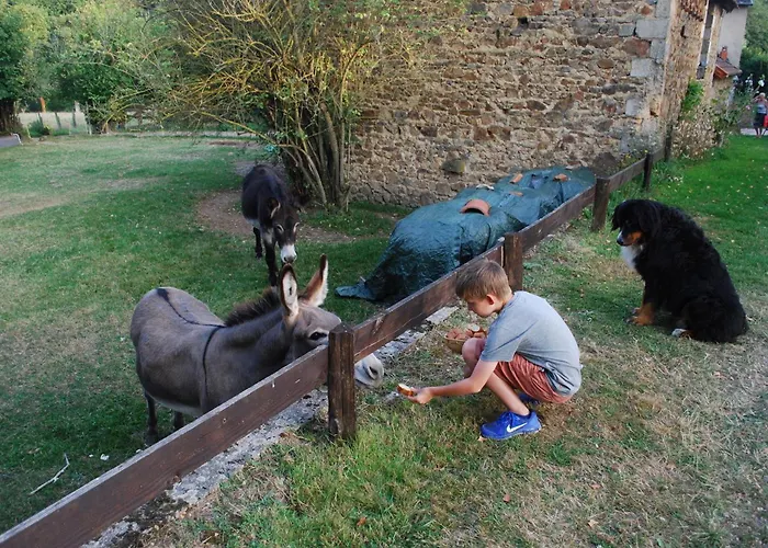 Les Bouis * Saint-Hilaire (Puy-de-Dome)