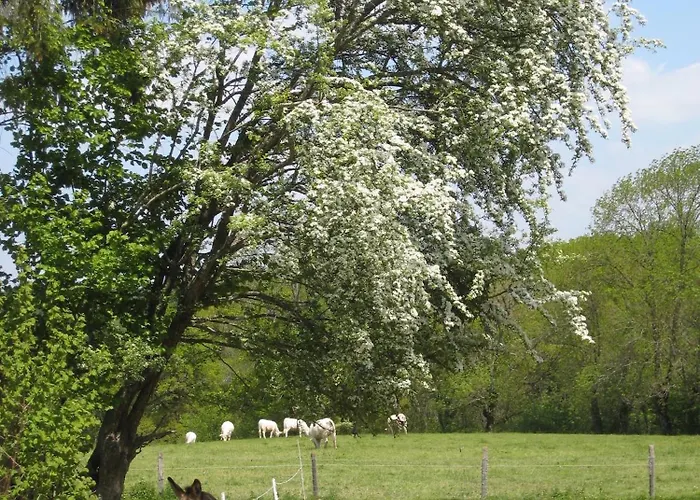 Holiday home Les Bouis *