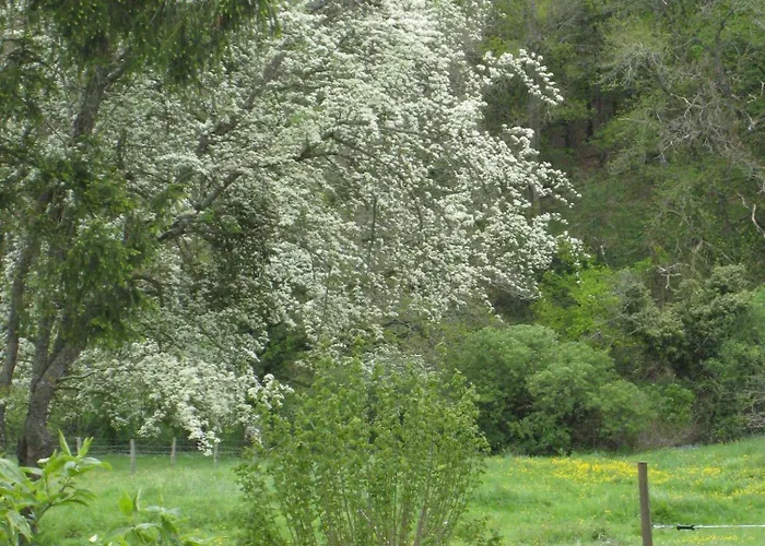 Holiday home Les Bouis Saint-Hilaire (Puy-de-Dome)