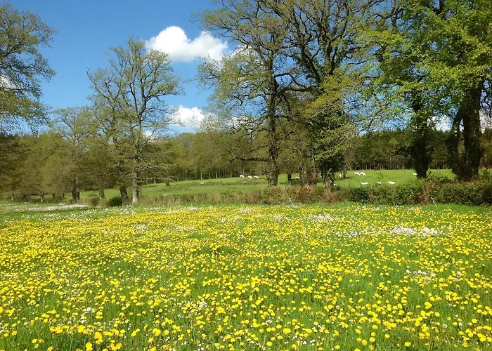 Les Bouis 度假居 Saint-Hilaire (Puy-de-Dome)
